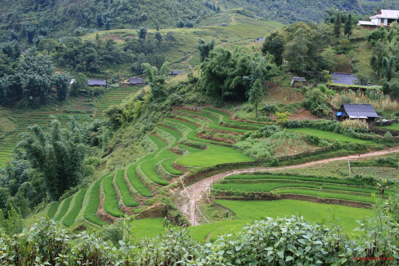 VietNam 20080728 148  